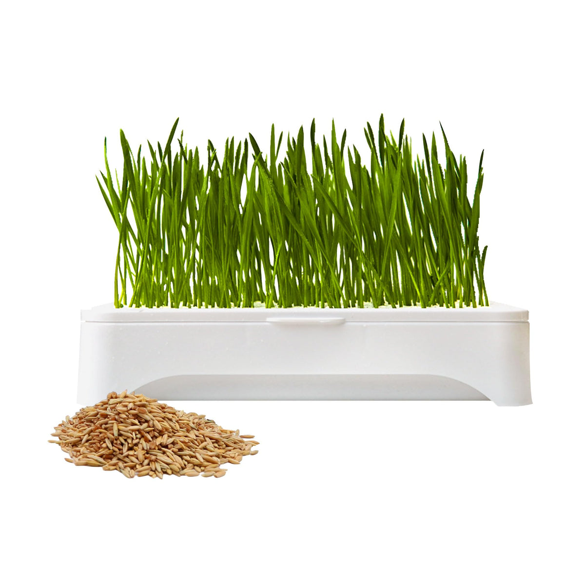 Cat Grass Kit with Organic Seeds Mix and Hydroponic Sprout Tray B912698