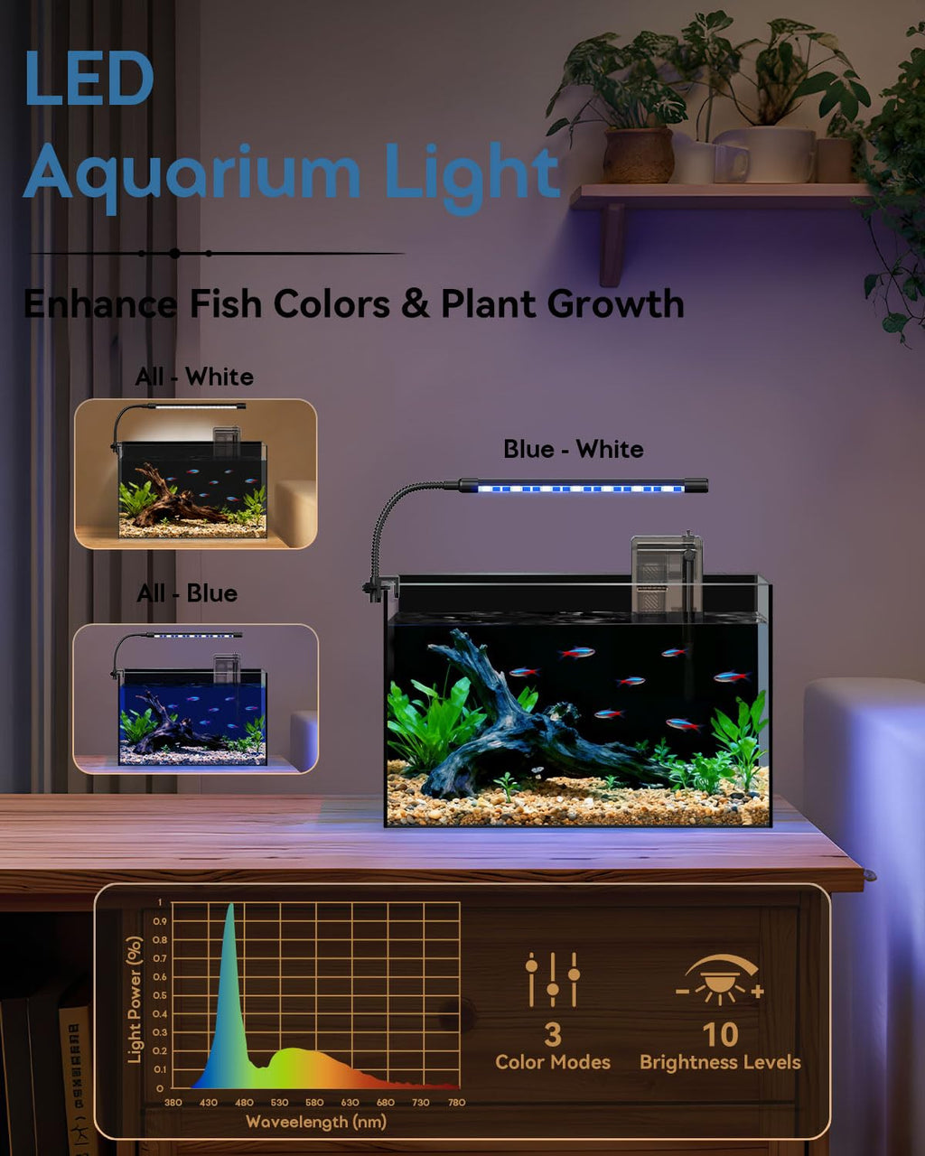 5 Gallon Rimless Glass Aquarium Starter Kit N526