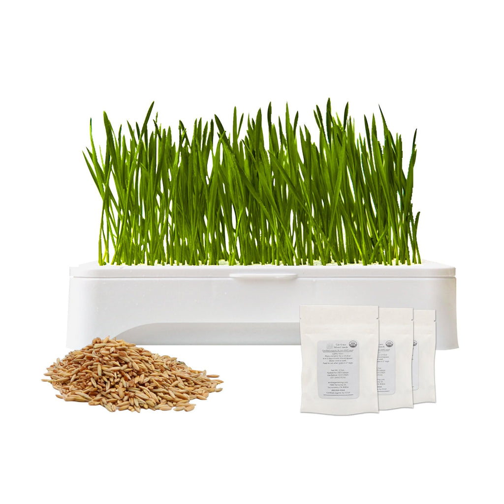 Cat Grass Kit with Organic Seeds Mix and Hydroponic Sprout Tray B912698