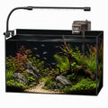 5 Gallon Rimless Glass Aquarium Starter Kit N526