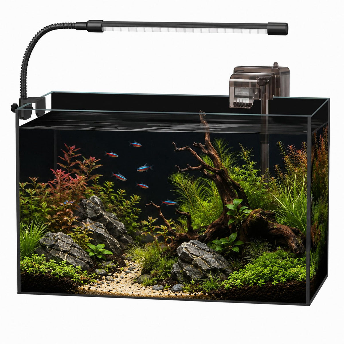 5 Gallon Rimless Glass Aquarium Starter Kit N526