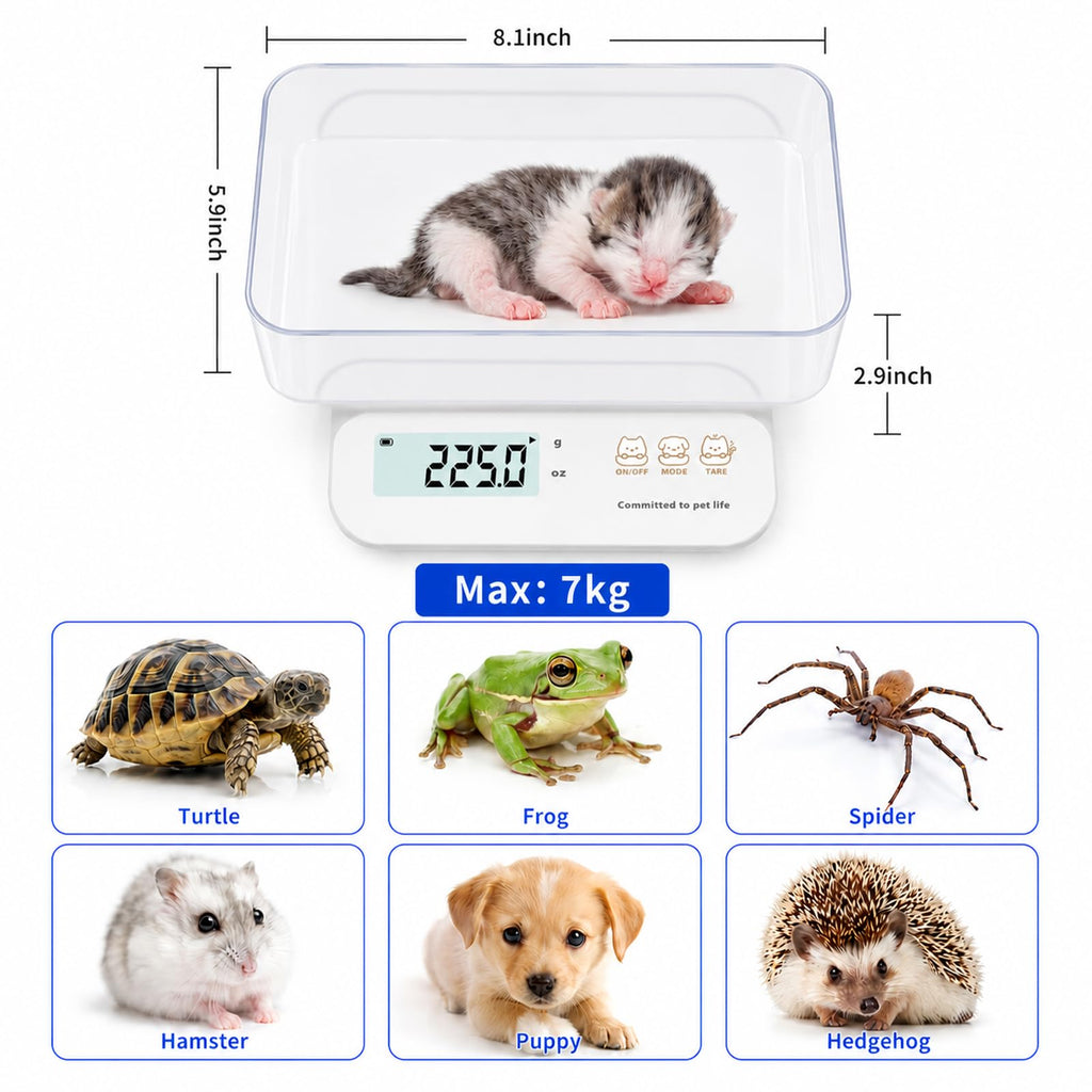 0.5g High Precision Digital Pet Scale S345