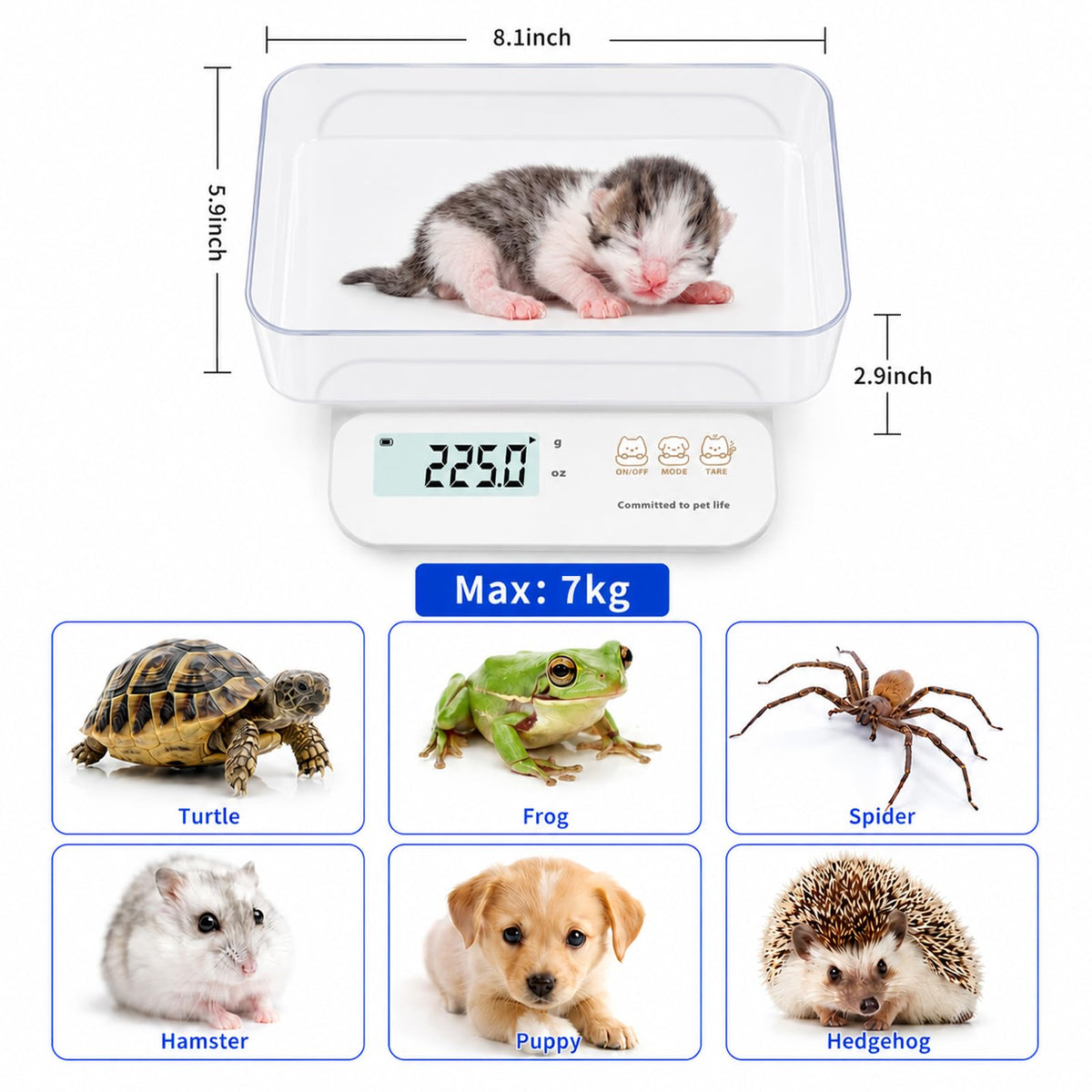 0.5g High Precision Digital Pet Scale S345