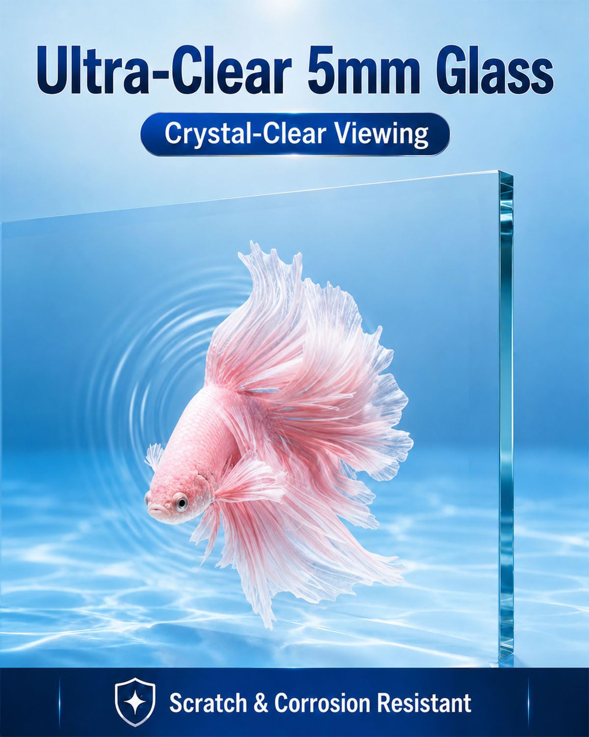 5 Gallon Rimless Glass Aquarium Starter Kit N526
