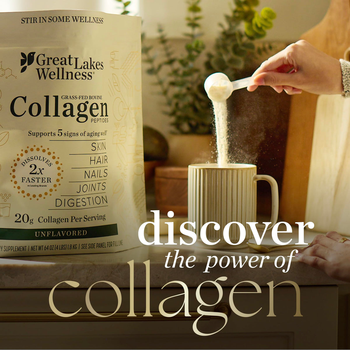 Collagen Peptides Powder, Chocolate, 10 oz F433922