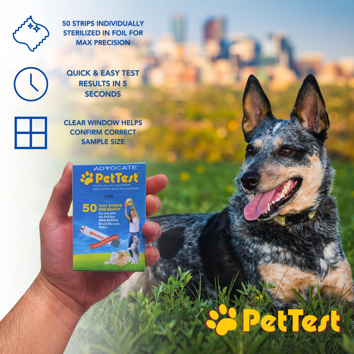 Blood Glucose 50 Test Strips for Dogs & Cats K362