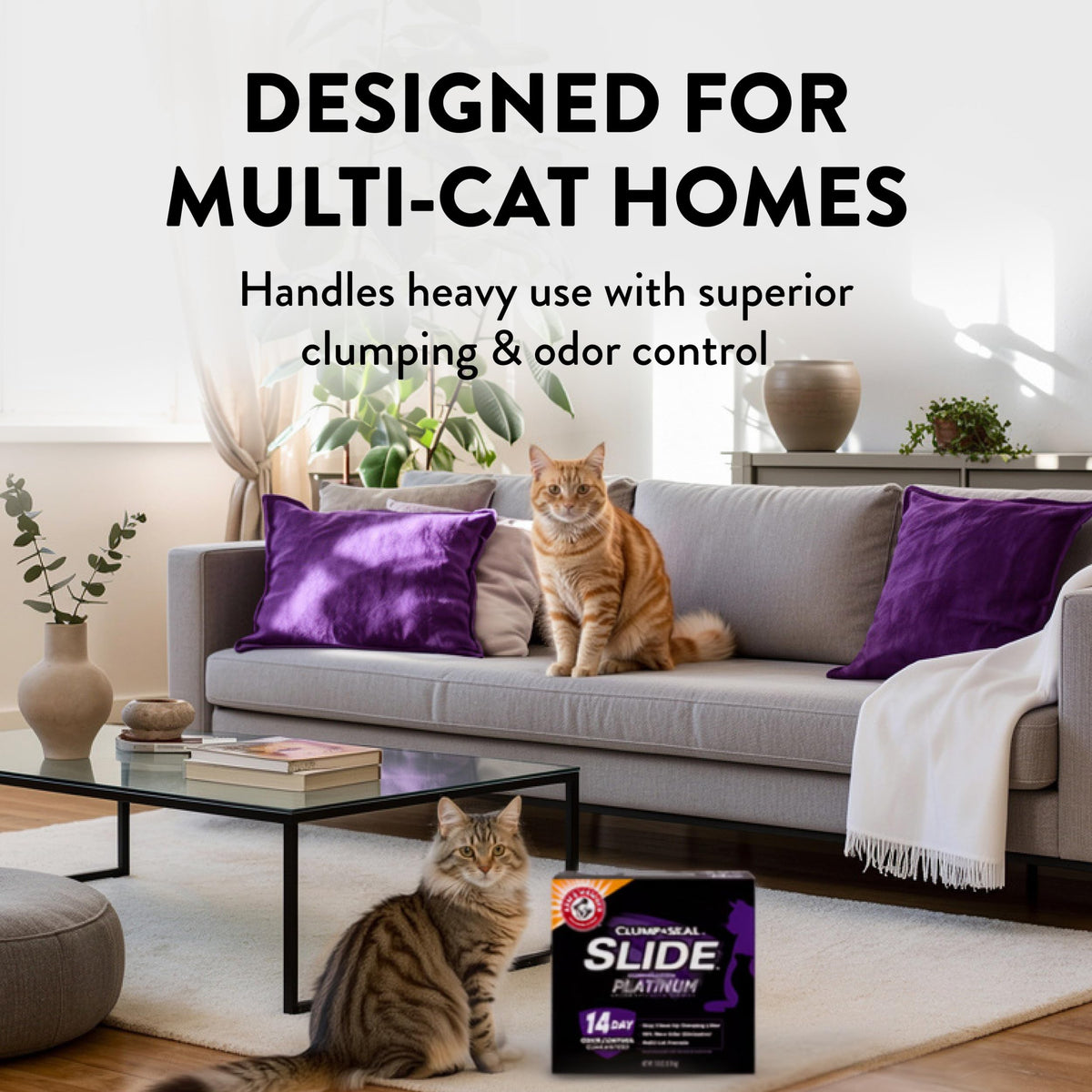 Clumping Cat Litter, 37 Lbs U678