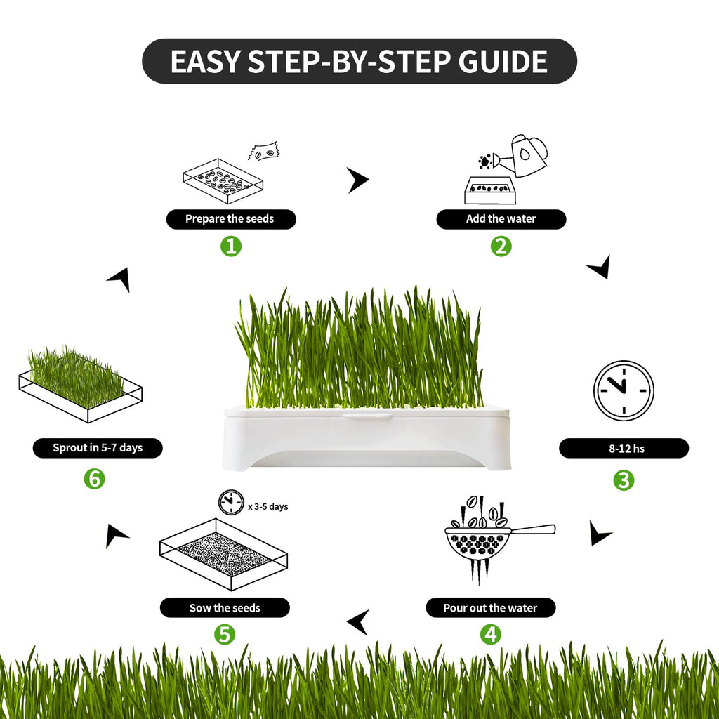 Cat Grass Kit with Organic Seeds Mix and Hydroponic Sprout Tray B912698