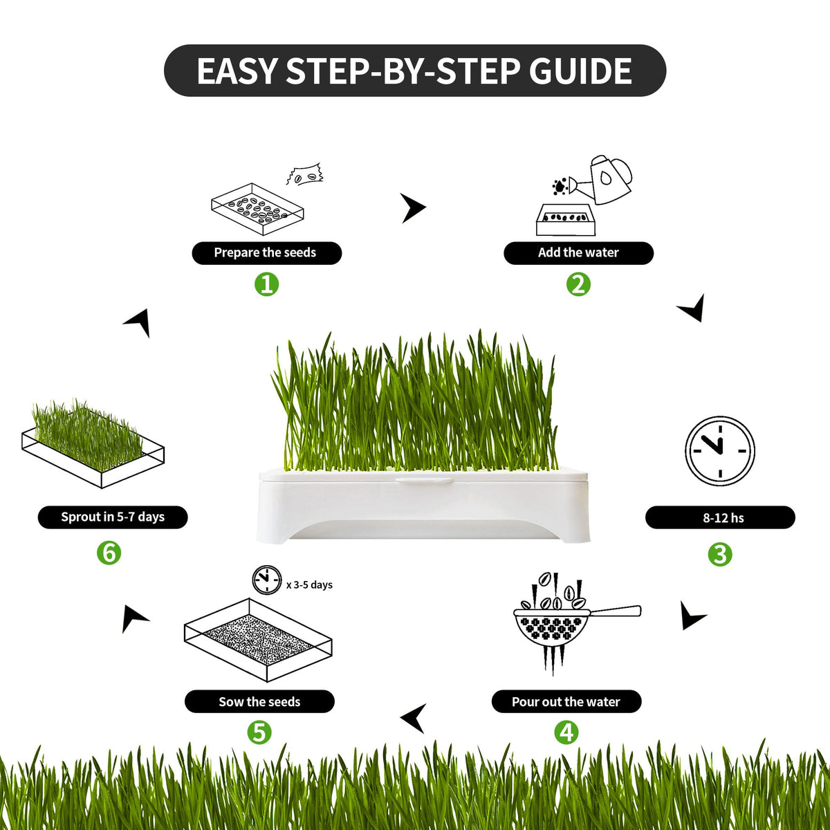 Cat Grass Kit with Organic Seeds Mix and Hydroponic Sprout Tray B912698