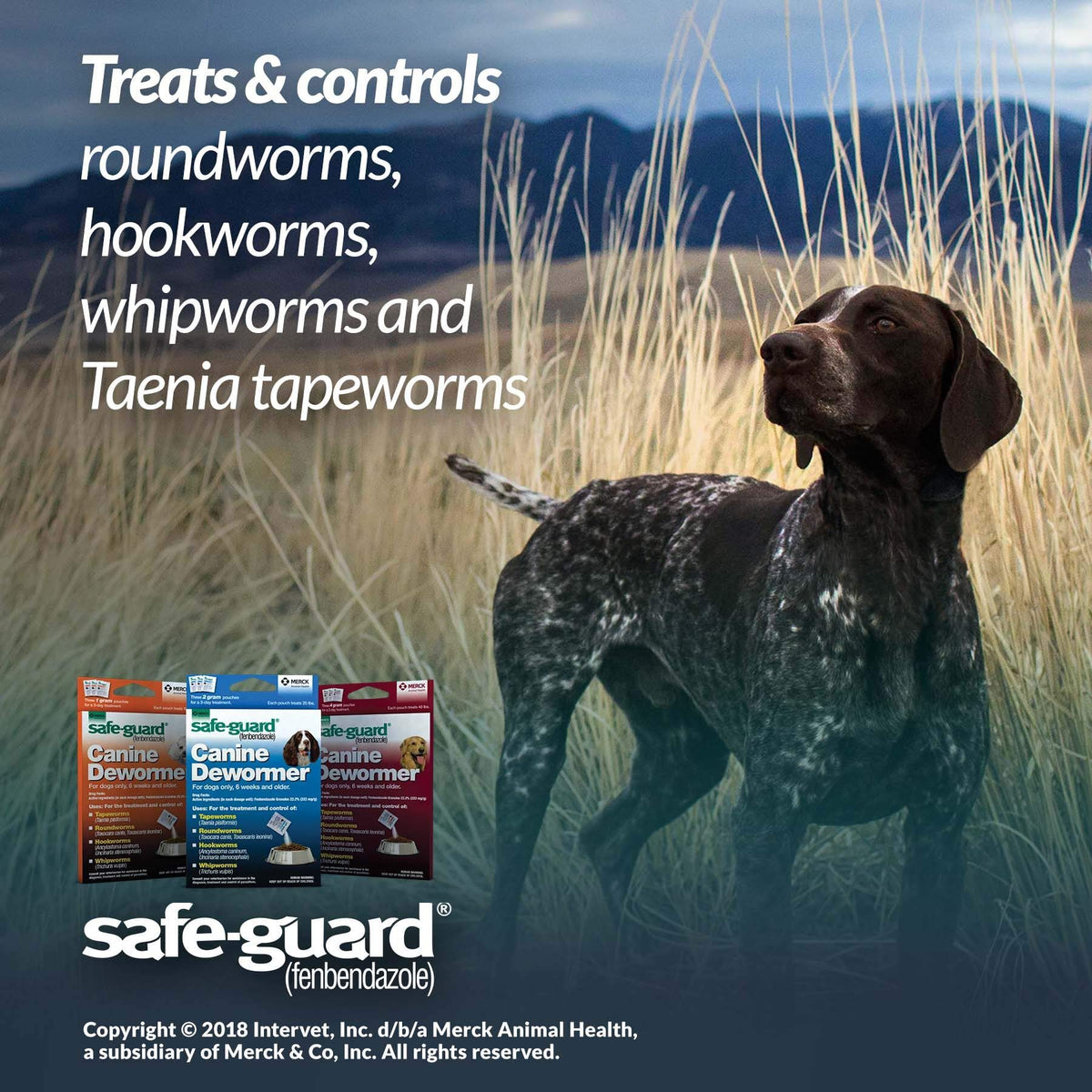 Canine Dewormer 4gm pouch I8983