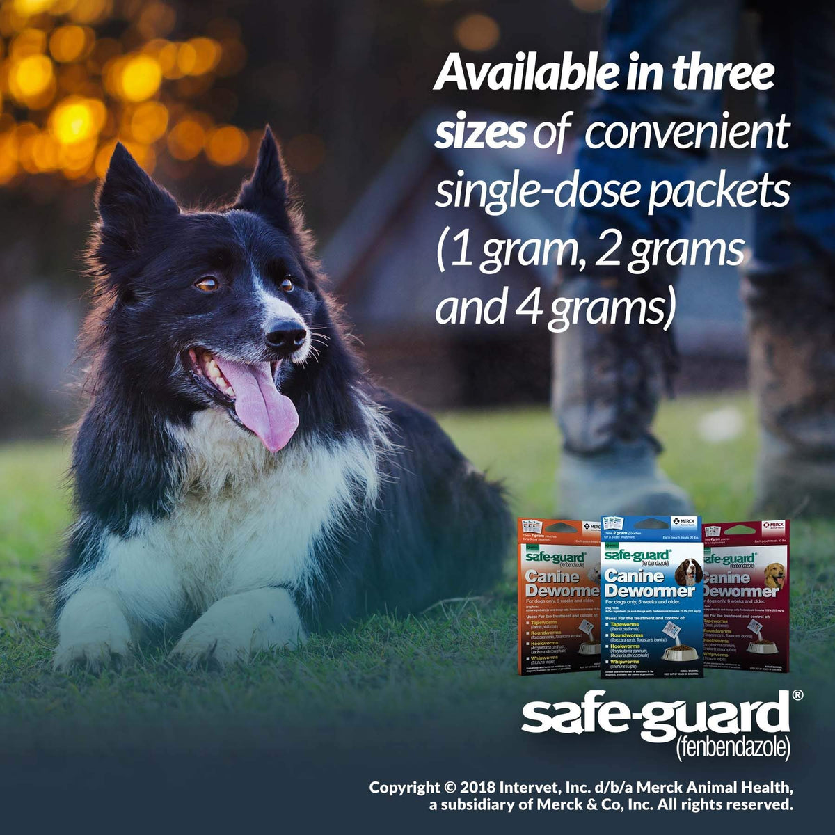 Canine Dewormer 4gm pouch I8983