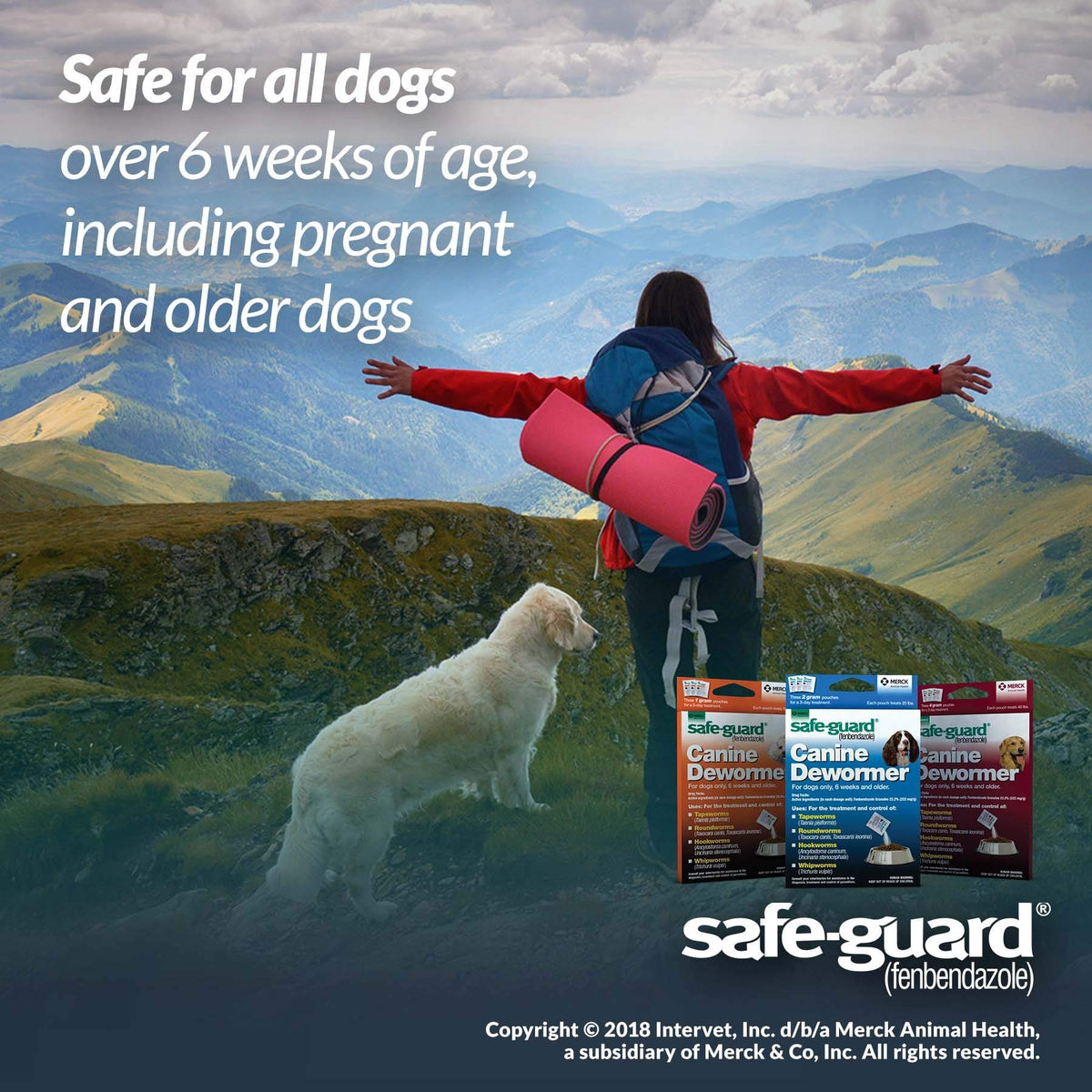 Canine Dewormer 4gm pouch I8983