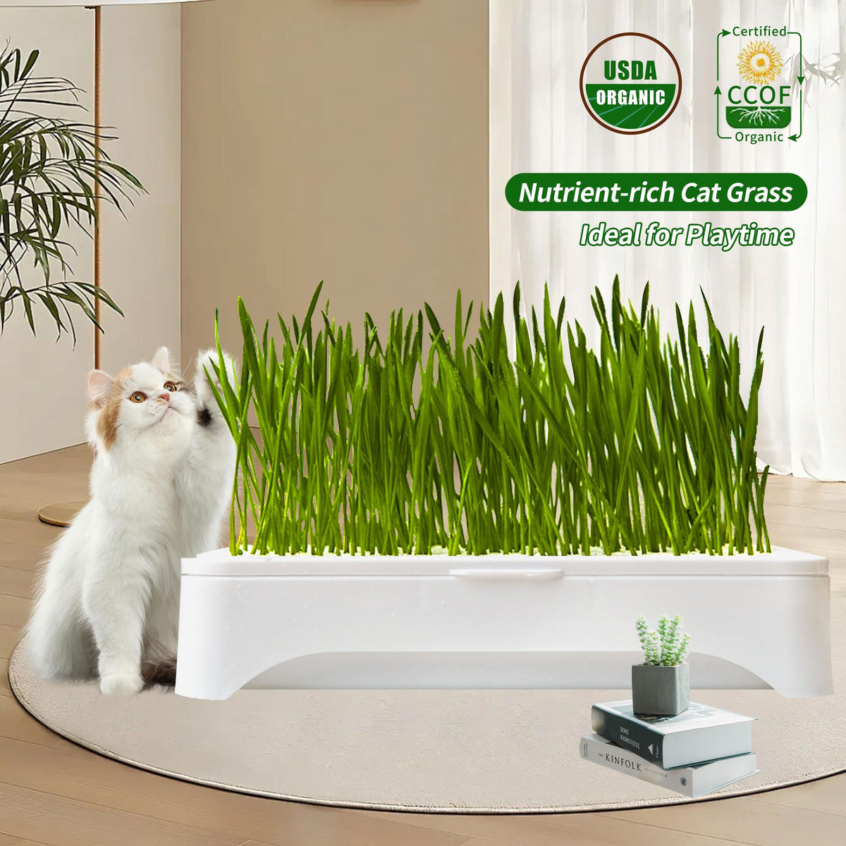 Cat Grass Kit with Organic Seeds Mix and Hydroponic Sprout Tray B912698