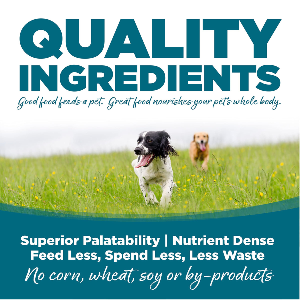 Chicken & Rice Dog Food 26lb K74863
