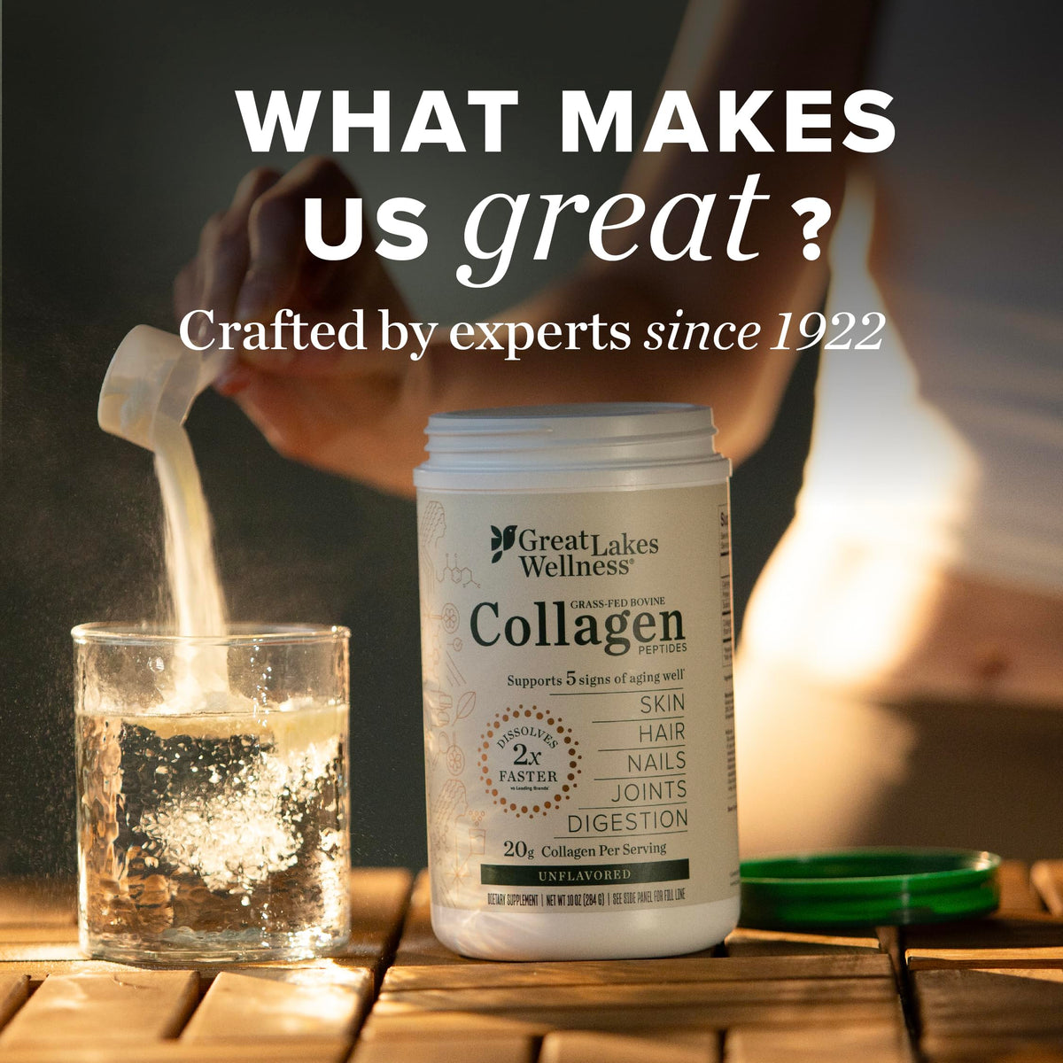 Collagen Peptides Powder, Chocolate, 10 oz F433922