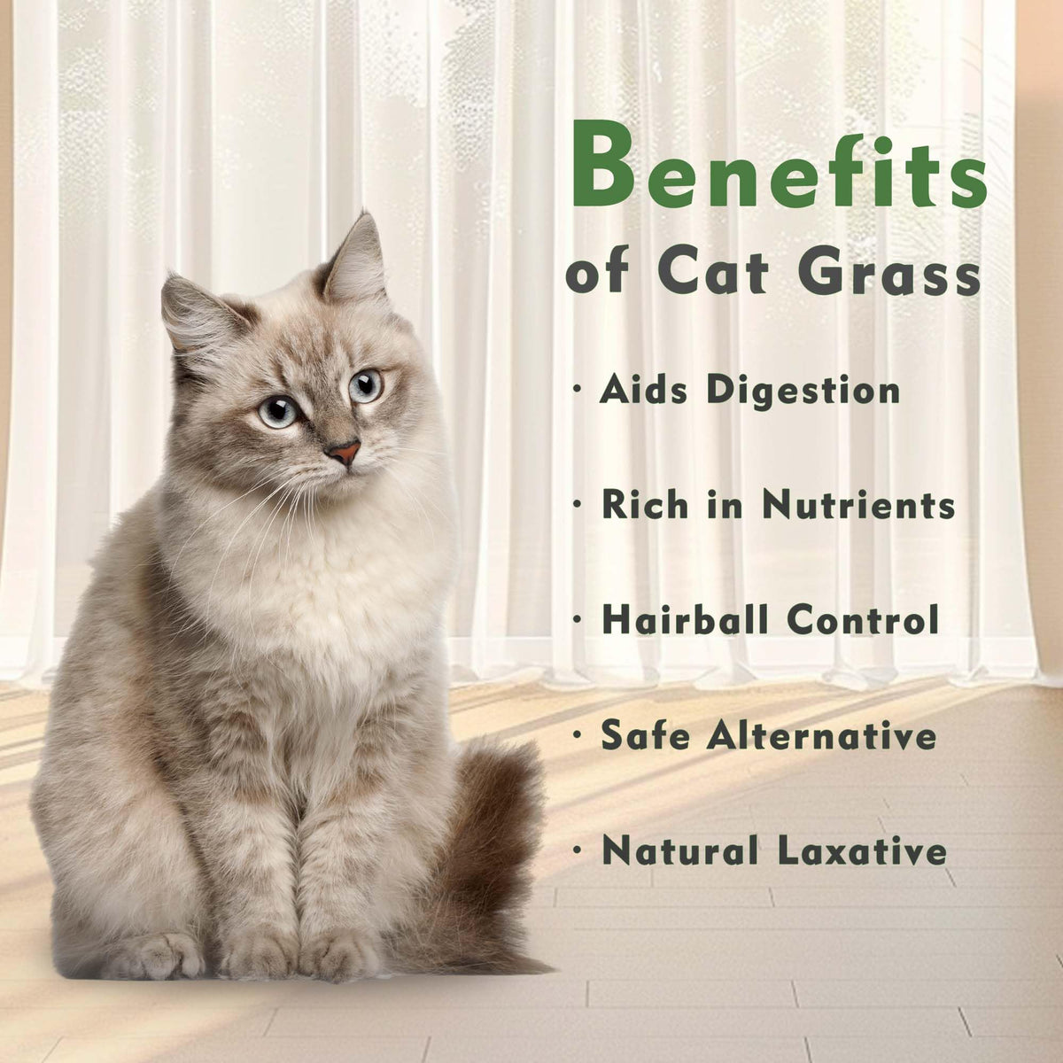 Cat Grass Kit with Organic Seeds Mix and Hydroponic Sprout Tray B912698